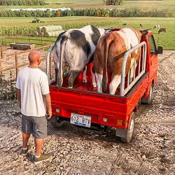 XWorld | Animal Truck Driver Game 2026