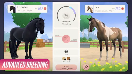 Equestrian the Game | Jogos | XWorld