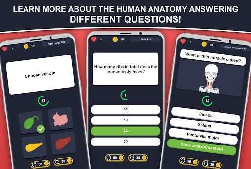 Anato Trivia - Quiz Anatomía | 游戏 | XWorld