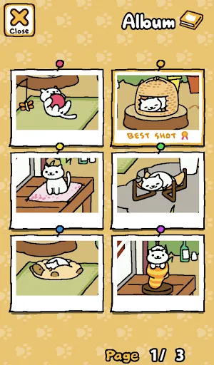 Neko Atsume: Kitty Collector | Games | XWorld