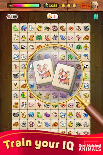 Onet X Connect Matched Animal | เกม | XWorld