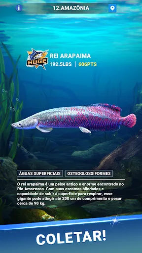 Fishing Travel | Jogos | XWorld