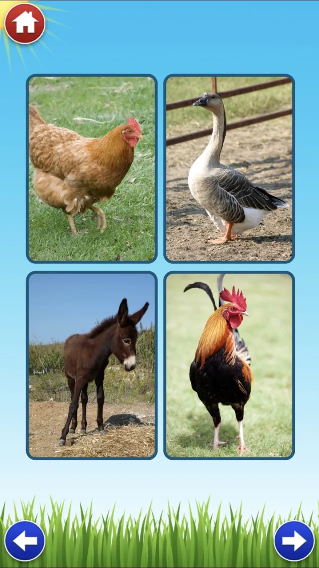 Farm Sounds by TantrumApps | Permainan | XWorld