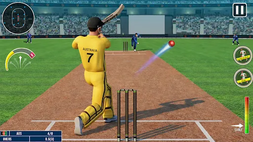 World Champion 3D Cricket Game | 游戏 | XWorld
