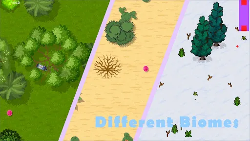 Drift Woods | เกม | XWorld