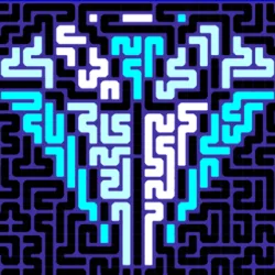 XWorld | PathPix Pro