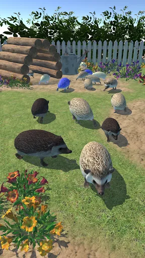 Hedgehog Friends | เกม | XWorld