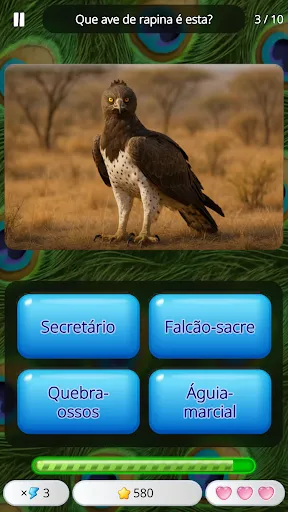 Adivinhe o Animal: Quiz | Jogos | XWorld Adivinhe o Animal: Quiz | Jogos | XWorld