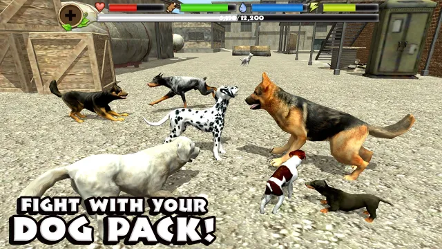 Stray Dog Simulator | 游戏 | XWorld