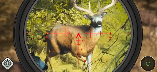 Wild Animal Hunting Simulator | Games | XWorld