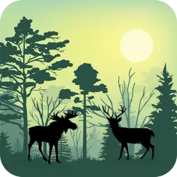 XWorld | Forest Animals Simulator