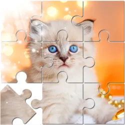 XWorld | Jigsaw Puzzle Mania: Mind Game