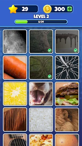 Guess it! Zoom Pic Trivia Game | Games | XWorld