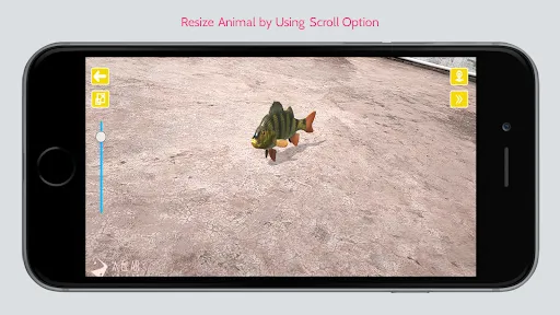 Animal Ar | Games | XWorld