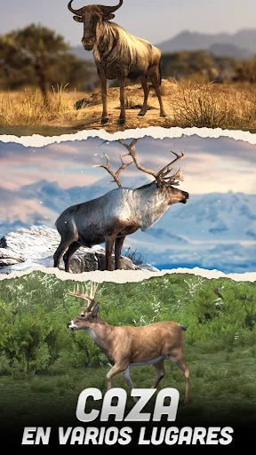 Hunting Battle: Juego Caza | juego | XWorld