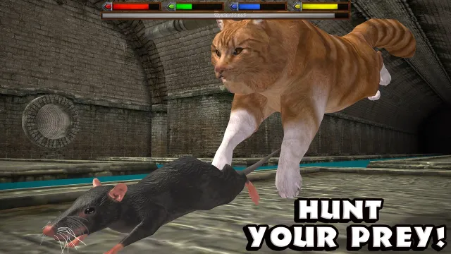 Ultimate Cat Simulator | 游戏 | XWorld