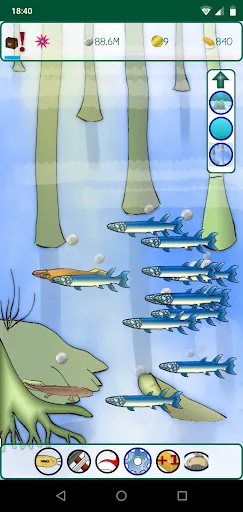 Animal Evolution | เกม | XWorld Animal Evolution | เกม | XWorld