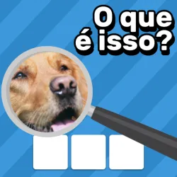 XWorld | Zoom Quiz: Jogo de Imagens