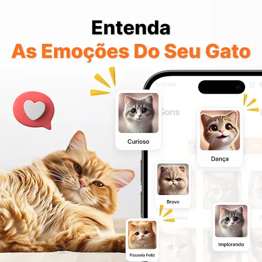 Tradutor De Humano Para Felino | Jogos | XWorld