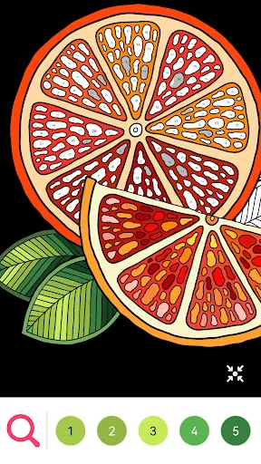 Newbie Coloring:Number & Color | เกม | XWorld