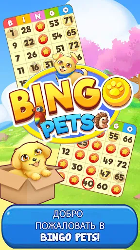 Bingo: Free the Pets | Игры | XWorld