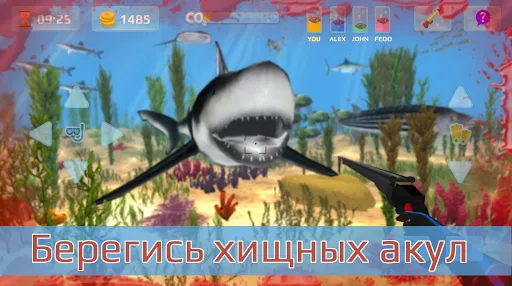 Охота подводная. Дайвинг. | Игры | XWorld Охота подводная. Дайвинг. | Игры | XWorld