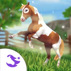 XWorld | Star Stable Online