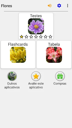 Flores: Identificar as plantas | Jogos | XWorld