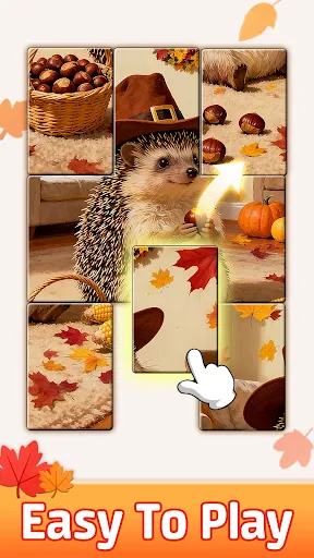 Jigsolitaire Puzzle: Slide Fun | Games | XWorld