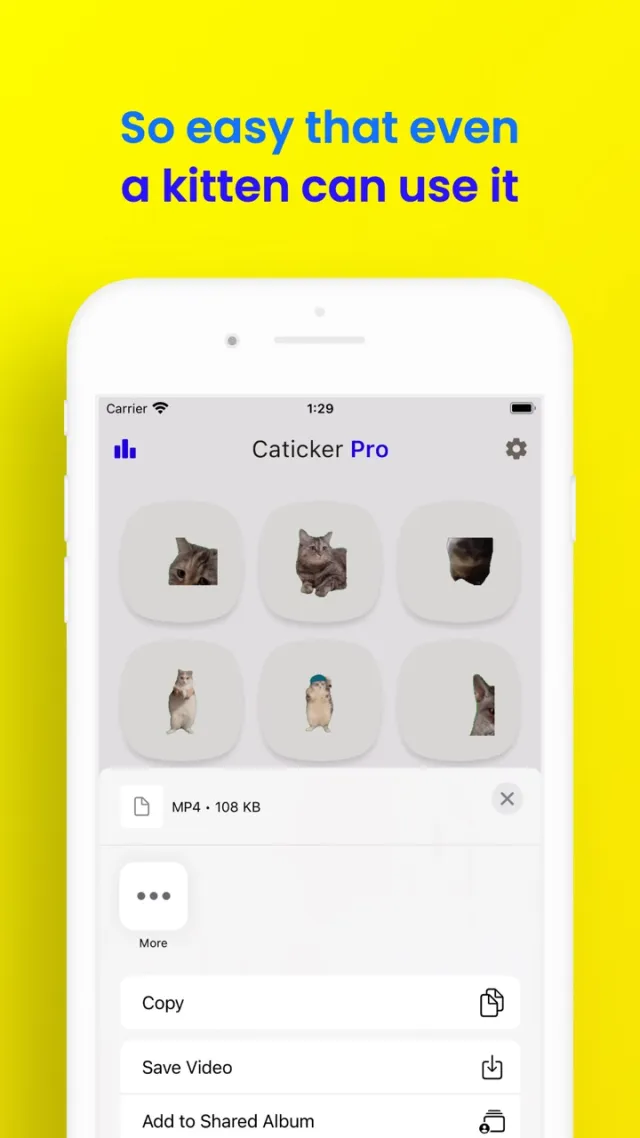 Cat Meme Stickers: Caticker | Games | XWorld Cat Meme Stickers: Caticker | Games | XWorld