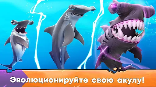 Hungry Shark Evolution: акула | Игры | XWorld