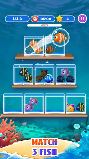 Bubble Tank Organize | Games | XWorld