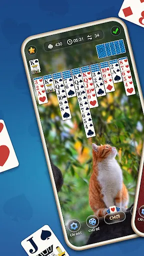 Nhện Solitaire Hàng Ngày | Games | XWorld