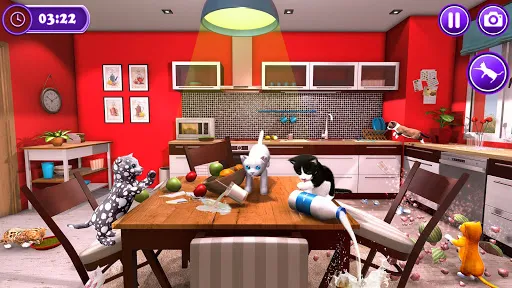 Pet Cat Simulator Cat Games | Games | XWorld