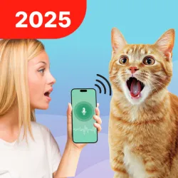 XWorld | Tradutor De Humano Para Felino