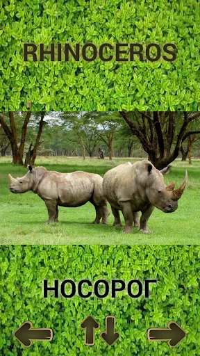 ZOO sounds quiz | Permainan | XWorld