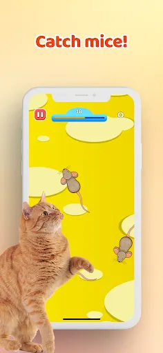 Games for Cat－Toy Mouse & Fish | Permainan | XWorld