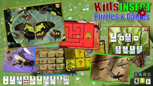Kids Insect Jigsaw Puzzle | Games | XWorld