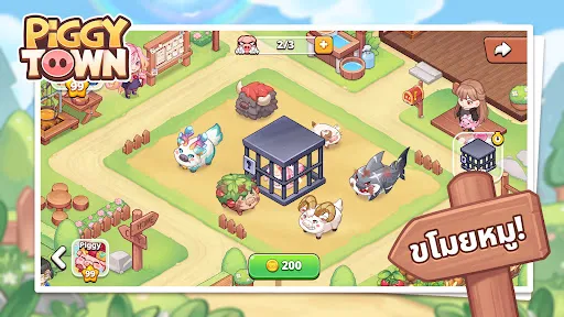 Piggy Town | เกม | XWorld