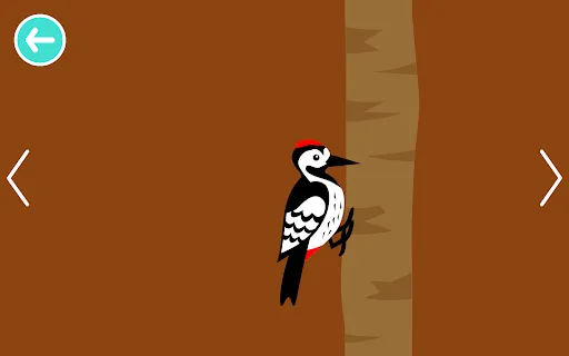 Black White Animals for Babies | Games | XWorld Black White Animals for Babies | Games | XWorld
