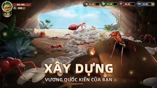 Vương Quốc Kiến - Gamota | Games | XWorld