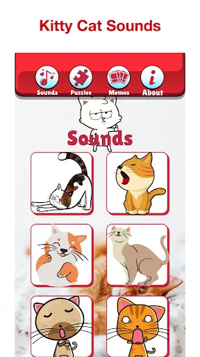 Kids Cat Games For Girls, Boys | 游戏 | XWorld