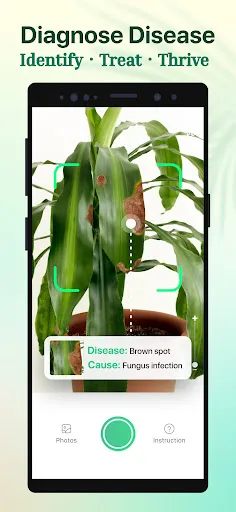 Plant Parent-Guia de Cuidados | 游戏 | XWorld