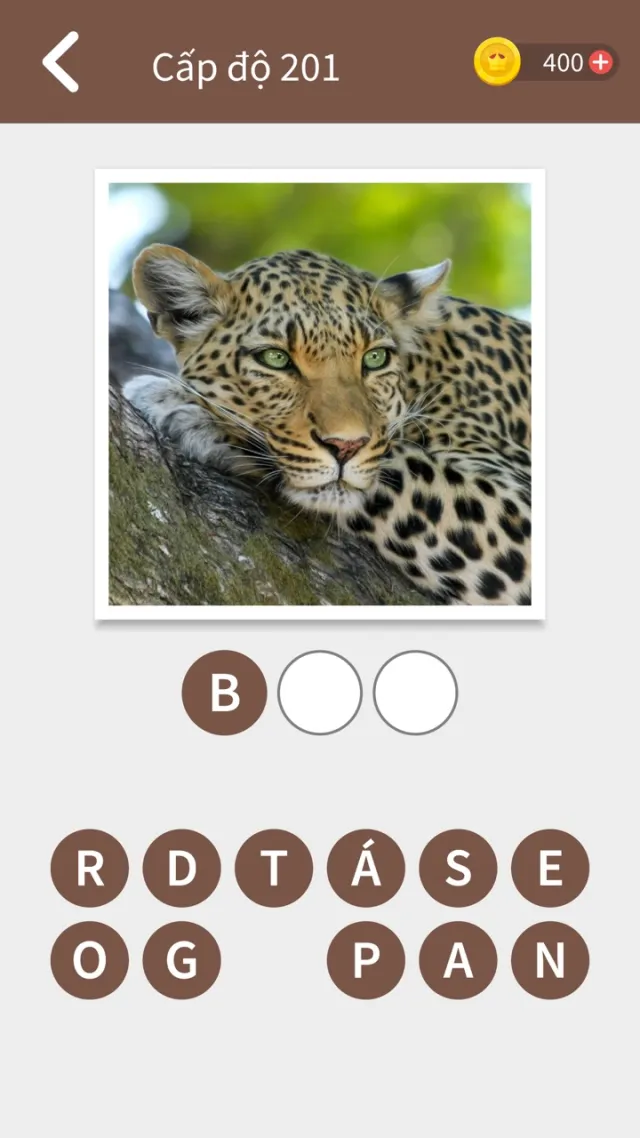 Động vật đố | Permainan | XWorld