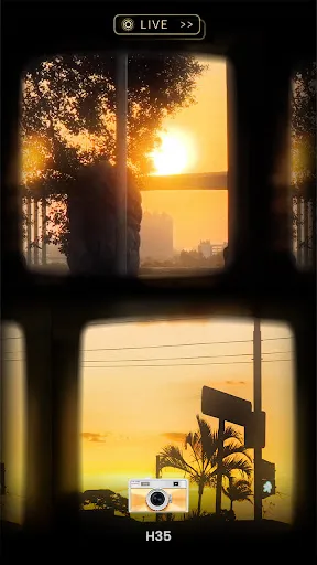 OldRoll - Vintage Film Cámara | juego | XWorld