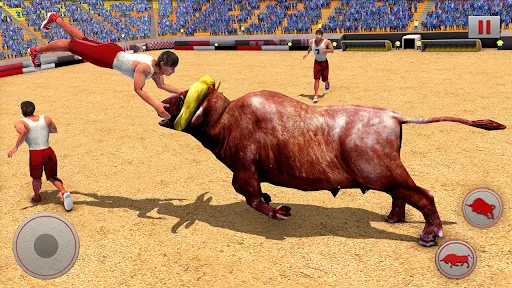 Game Pertarungan Banteng Marah | Permainan | XWorld