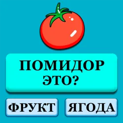 XWorld | Викторины: Игры без интернета