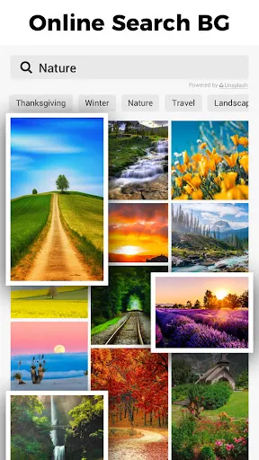 Background Eraser Photo Editor | Games | XWorld