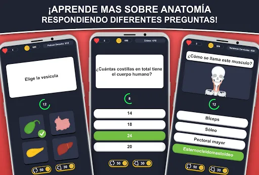 Anato Trivia - Quiz Anatomía | juego | XWorld