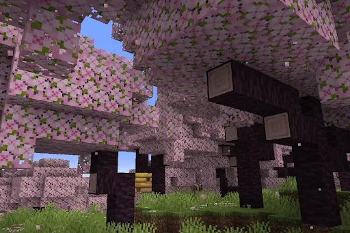 Mastercraft Pink - World Craft | เกม | XWorld